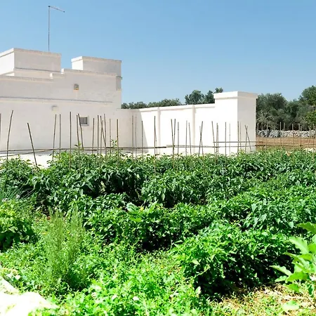 La Torretta - Raro Collection 오스투니