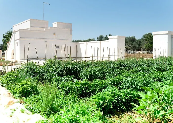 La Torretta - Raro Collection 오스투니